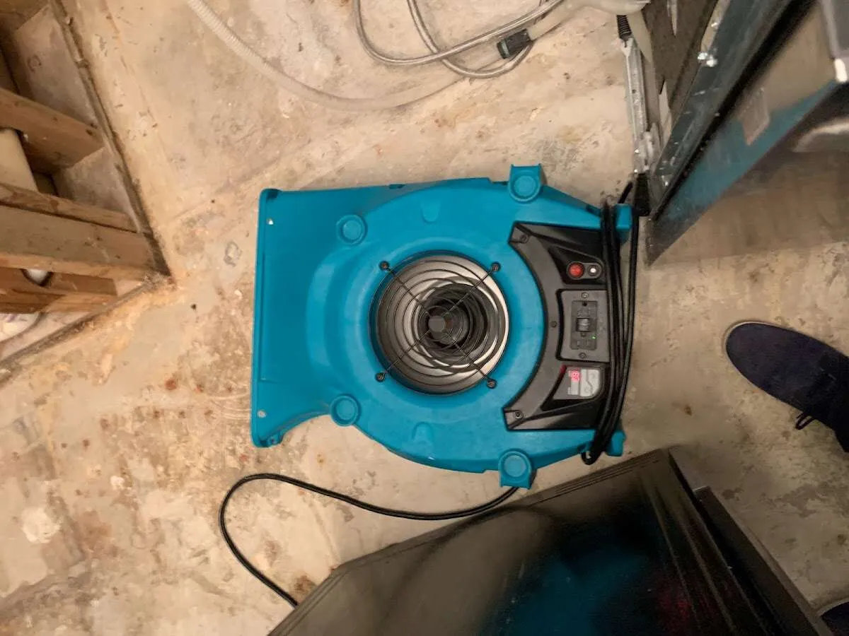 Air mover drying equipment for Mold Remediation & Removal in Chula Vista